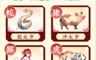 进退两难是什么生肖？进退两难打一准确生肖