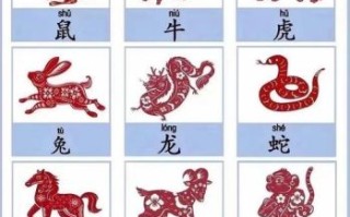 手忙脚乱是什么生肖？毛手毛脚打一准确的生肖