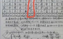 伍是什么生肖？伍是什么数字