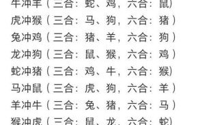 次肖是什么生肖？史是指什么生肖