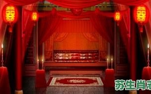 洞房花烛是什么生肖？洞房花烛准确打一动物