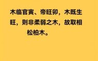 松柏木是什么生肖？松柏木最正确一肖