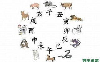 奔是什么生肖？奔字打一个准确生肖