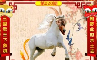 目不转睛是什么生肖？鞋子打一个准确生肖