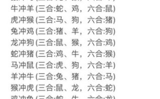02合是什么生肖数字？1-13合的正确数字