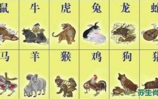 夏天肖是什么生肖？前肖是什么生肖