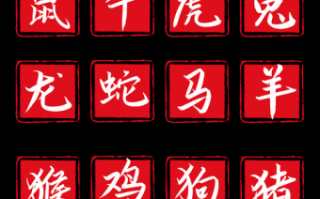 主人不视它是宝是什么生肖？农民视它家中宝打一生肖