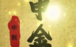 申金是什么生肖？申金长生准确答案