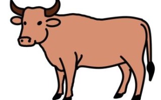 老牛骑马是什么生肖？老牛骑马打一动物谜底