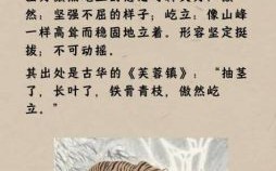 鼻王是什么生肖？朝天鼻孔打一肖