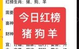 四八驰驱是什么生肖？四八上下正确答案一肖