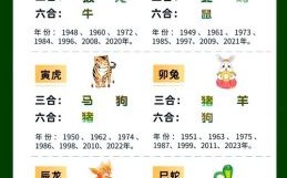 港台神算是什么生肖？欲钱买港台神算解生肖