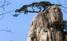 仙人指路是什么生肖？什么叫仙人指路