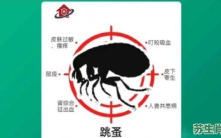 蚤能跳多高是什么生肖？跳蚤打一最佳生肖