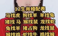 风流才子俏佳人是什么生肖？十二生肖谁是风流才子