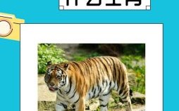 买一把刀是什么生肖？欲钱买一把刀 猜一生肖