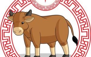 牛肖是什么生肖？最牛b生肖正确答案是