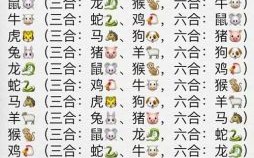 明是什么生肖？明打准确最佳一肖