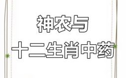 中药取是什么生肖？十二生肖谁是中药