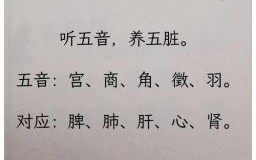 五音是什么生肖？五音之内打一最佳生肖