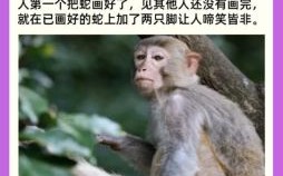 树的生肖是什么？树指什么生肖最佳答案