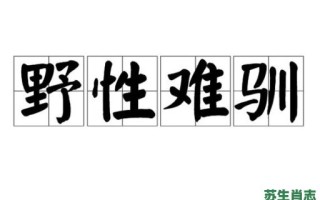 野性难驯是什么生肖？野性难驯打一准确动物