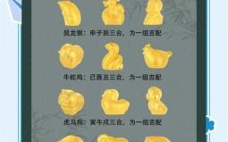 东西肖是什么生肖？好东西打一最佳生肖