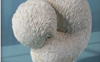 啾是什么生肖？啾字代表什么生肖