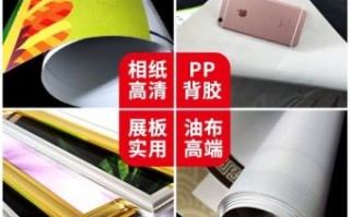 二十四节是什么生肖？二十四节气准确生肖