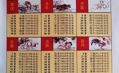 1945年是什么生肖？50岁属什么生肖