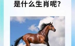 八面春风是什么生肖？八面春风打一最佳生肖
