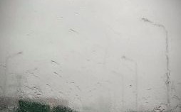 秋雨绵绵是什么生肖？秋雨挺棉打一动物