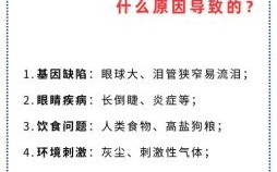 红红的眼睛是什么生肖？红红眼睛打一准确动物