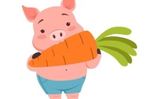 天天啃萝卜是什么生肖？萝卜的6个生肖
