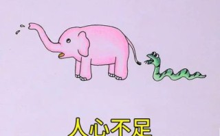 人心不足蛇吞象是什么生肖？人心不足蛇吞象最佳答案