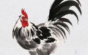 鸡叫三声是什么生肖？三更半夜鸡在叫是什么生肖