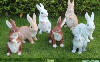 花园里找是什么生肖？花园里找最准确的生肖