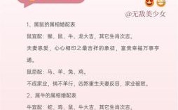 太子美女来相伴是什么生肖？太子美女最佳答案一肖