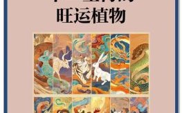 养是什么生肖？养打一准确生肖