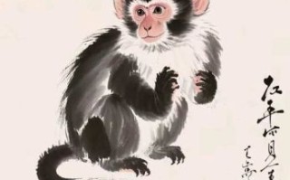 诗意是什么生肖？诗情画意打一准确生肖