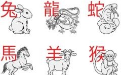 用是什么生肖？不字最正确生肖