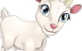 喂是什么生肖？喂打一生肖动物