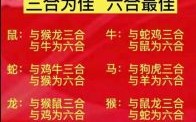 配是什么生肖？哇打一准确生肖