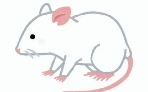 陋巷箪瓢是什么生肖？陋巷箪瓢打一动物