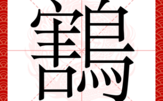 飏是什么生肖？飏字是凶还是吉
