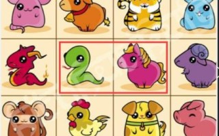 丢三落四是什么生肖？丢三落四打一准确动物