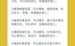 2026年生肖猪的全年运势解析：财运如何提升，健康要注意哪些方面？