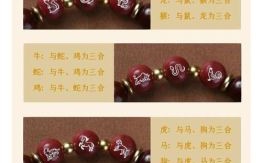 牛六个合生肖是什么？牛和蛇是三合还是6合