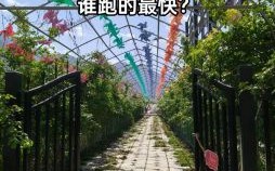 赛跑是什么生肖？十二生肖谁跑得最快
