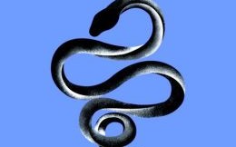 2001年属相是什么生肖？2009年是属什么的